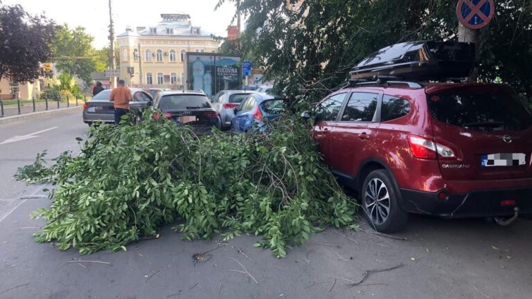 ALERTĂ | Copac căzut pe trei mașini la intersecția Ștefan cel Mare cu strada Tunari