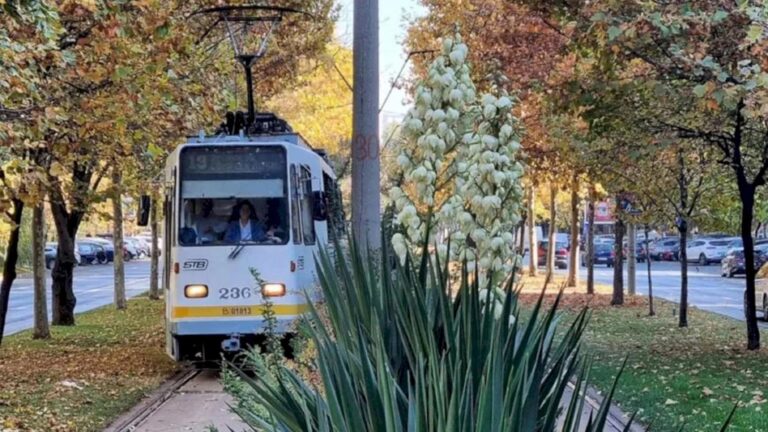 ALERTĂ | Tramvai deraiat pe Bulevardul Theodor Pallady, circulația liniilor 19, 27 și 49 afectată