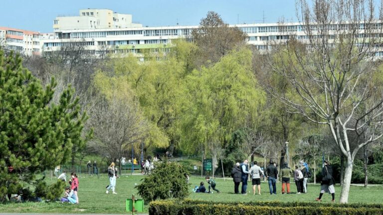 Analiza spațiilor verzi din București: Sectorul 1 se evidențiază prin vegetație