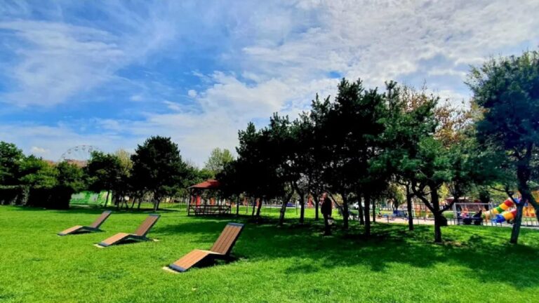 Avertizarea unui ONG în contextul caniculei record din București: „Orașul a pierdut peste 500 de hectare de spații verzi, n-avem nici măcar un copac de fiecare”