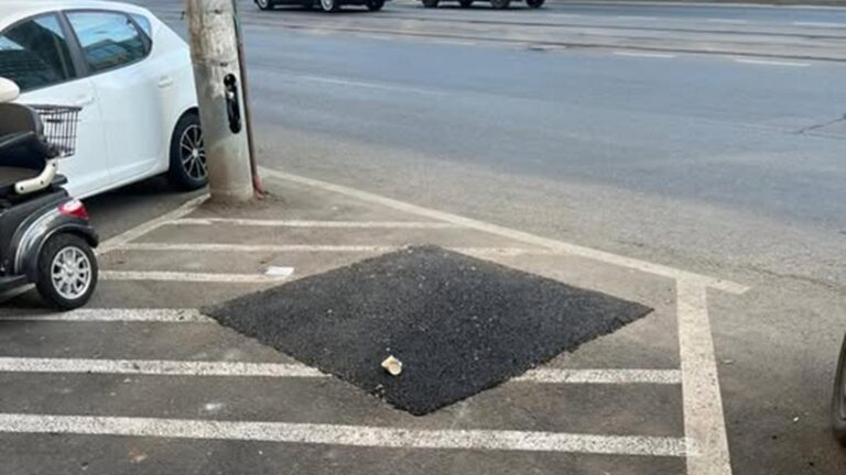 Bucureștean nemulțumit de asfaltarea alveolelor din Berceni: “Dispar copacii, iar noi asfaltăm”