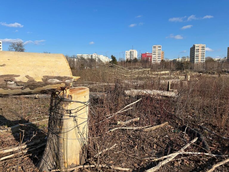 Cinci procese în care este implicată Maria Cocoru, fosta proprietară a zonei retrocedate din IOR, se desfășoară în luna iunie