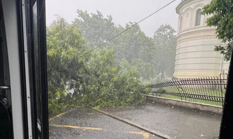 Copac căzut la intersecția Regina Maria cu 11 Iunie, trafic blocat în zonă