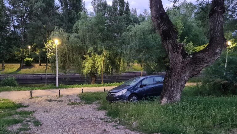 FOTO | O mașină în floare, o nouă tendință în București. Teren fertil pentru Opel lângă Parcul Colentina. „Cât timp durează până face „fructe”?”