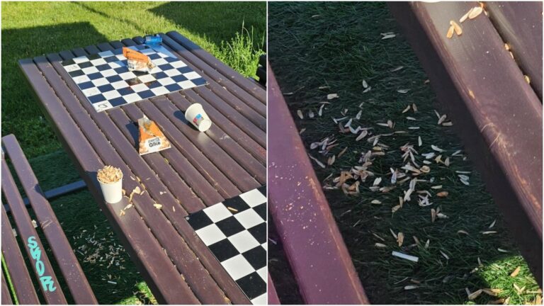 FOTO | Primăria sancționează mizeria din Parcul Crângași: Coji de semințe și ambalaje abandonate