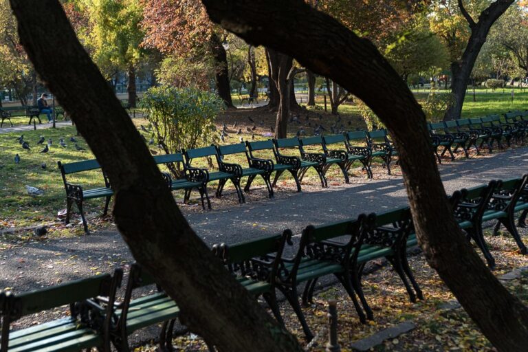 Întoarcerea băncilor verzi și a stâlpișorilor în Parcul Cișmigiu: ALPAB colaborează cu Institutul Național al Patrimoniului