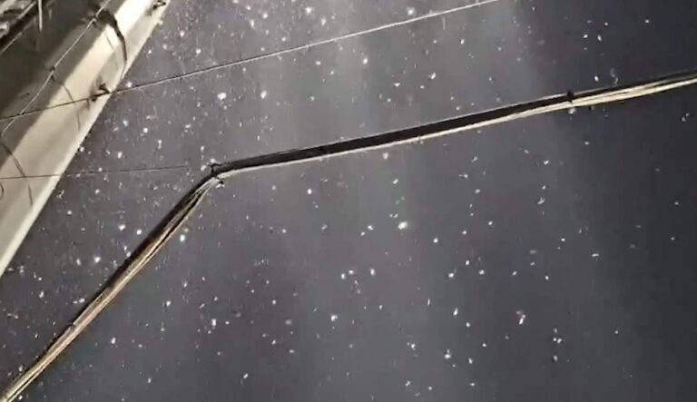 Invazie de insecte la meciul U19 România-Spania, desfășurat în Voluntari