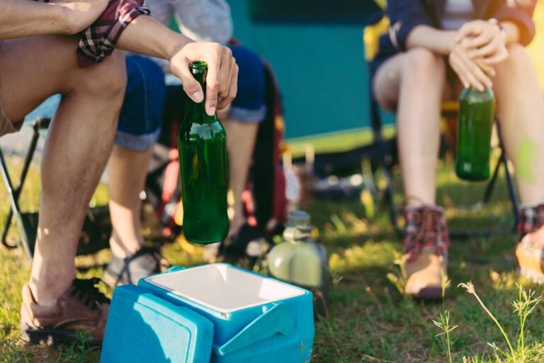 Îți place să călătorești cu mașina? Iată de ce să îți cumperi o ladă frigorifică pentru camping