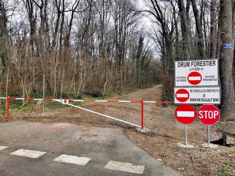 Ministrul Mediului avertizează cu demiteri în cazul deschiderii drumului din pădurea Băneasa pentru cartierul Greenfield