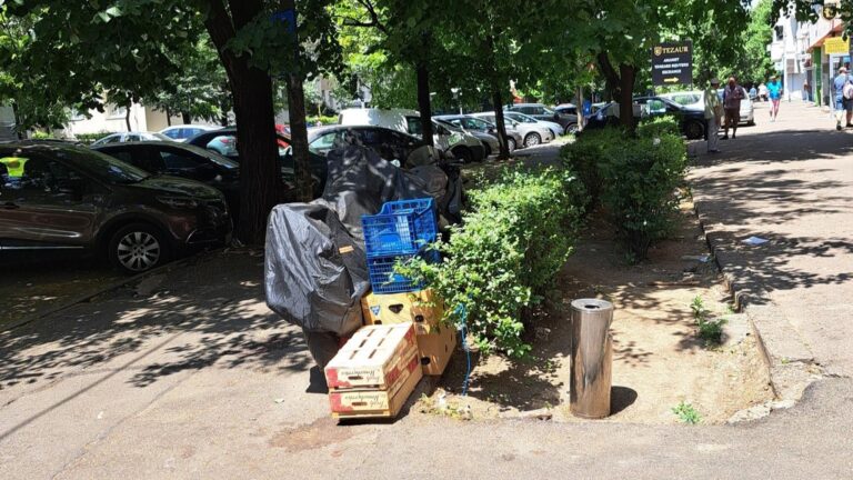 Nemulțumirea unei bucureștence din Sectorul 2 după desființarea gardurilor grădinilor urbane