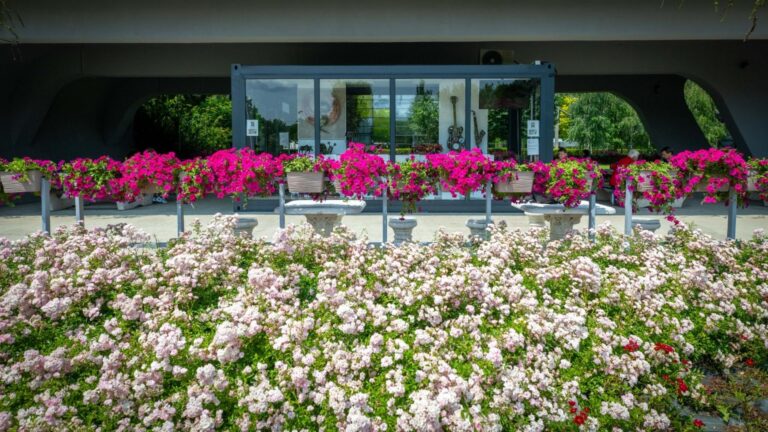 Noi sculpturi expuse la Muzeul Sculpturilor din Fiare Vechi din Parcul Drumul Taberei