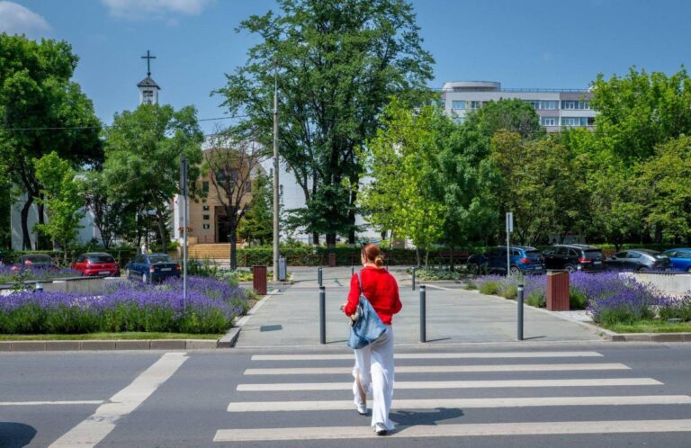 Pajiștile de lavandă: Oaze de frumusețe în inima orașului