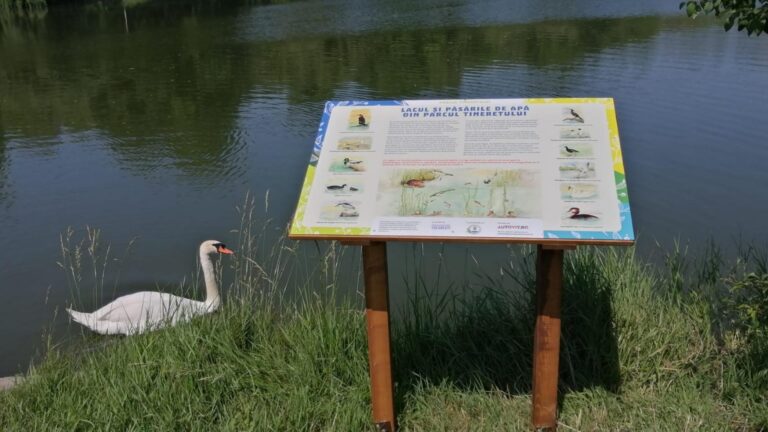 Parcul Tineretului lansează un traseu tematic pentru biodiversitate