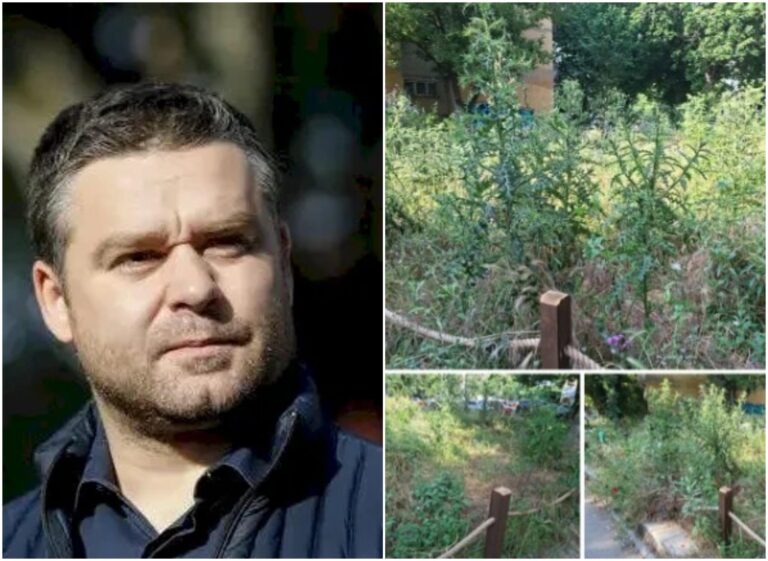 Primarul Ciucu, într-o dispută publică cu o bucureșteancă pe tema grădinii experimentale