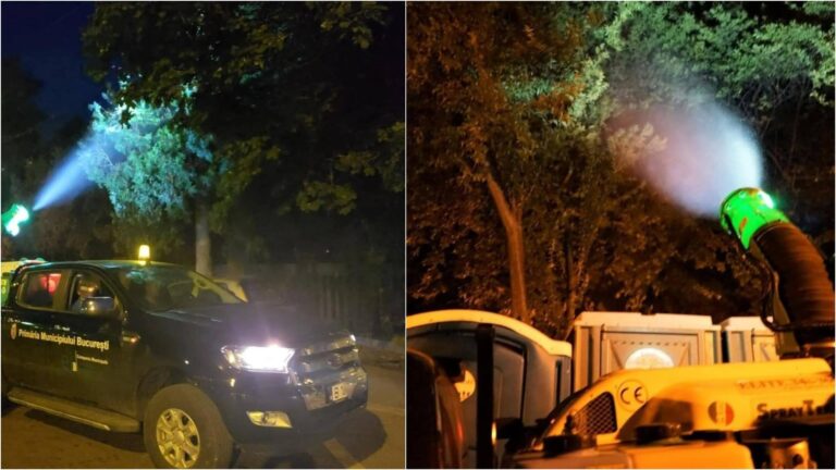 Țânțarii din Sectorul 2: o amenințare activă în timpul zilei