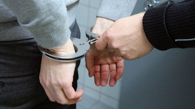 Tentative de furt în Capitală: Hoțul mușcă pentru a scăpa