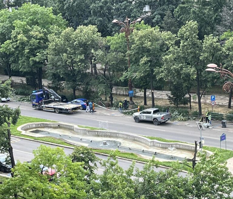 Toaletarea copacilor pe Bulevardul Unirii: Mașinile sunt ridicate