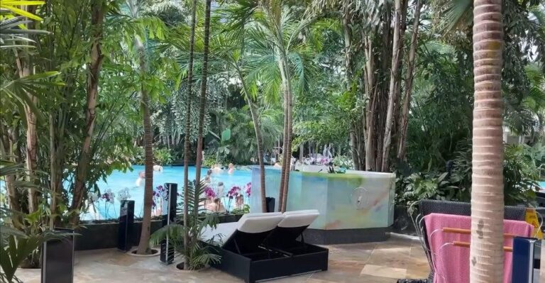 Top 10 piscine din București și Ilfov pentru a scăpa de caniculă. Prețuri și facilități pentru vara aceasta