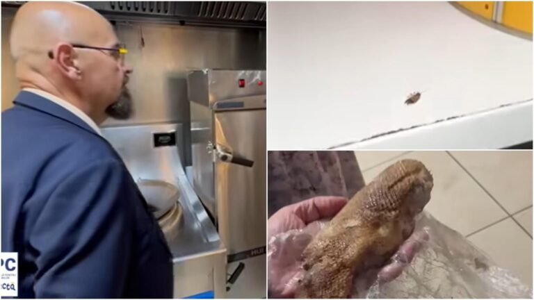 VIDEO | Control ANPC la un restaurant chinezesc din AFI Cotroceni: gândaci și produse expirate descoperite