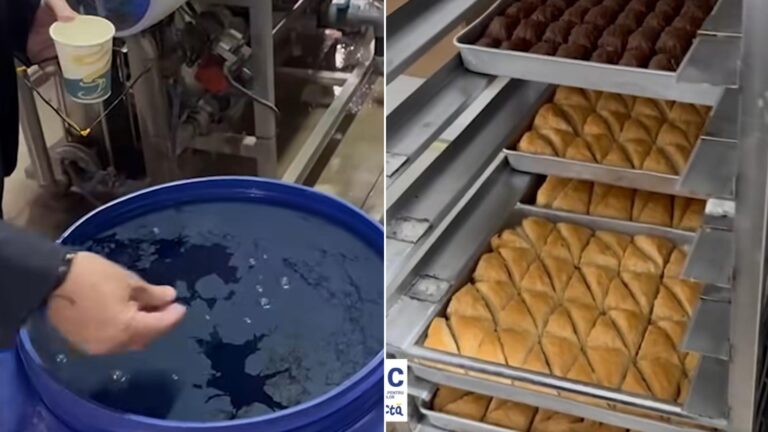 VIDEO | Piedone a închis două firme din Ilfov pentru nereguli grave