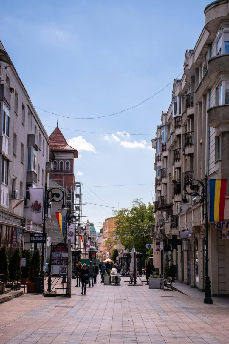 Un oraș cu rădăcinile sufocate: criza spațiului verde în București