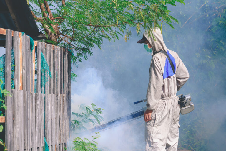 Ilfov | Combaterea țânțarilor adulți a început, cu tratamente programate până pe 18 iunie