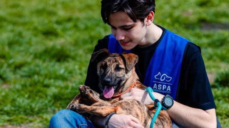 15 blănoși de la ASPA așteaptă să își găsească o familie iubitoare, sâmbăta aceasta în Parcul Izvor