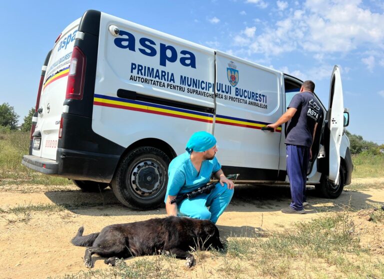 ASPA București ar putea primi noi autoturisme pentru îmbunătățirea activităților