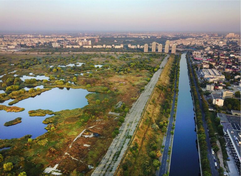 Asociația Parcul Natural Văcărești devine Asociația Parcul Natural București 🦋 Fluturele este noua emblemă a organizației, semnificând fragilitatea naturii urbane
