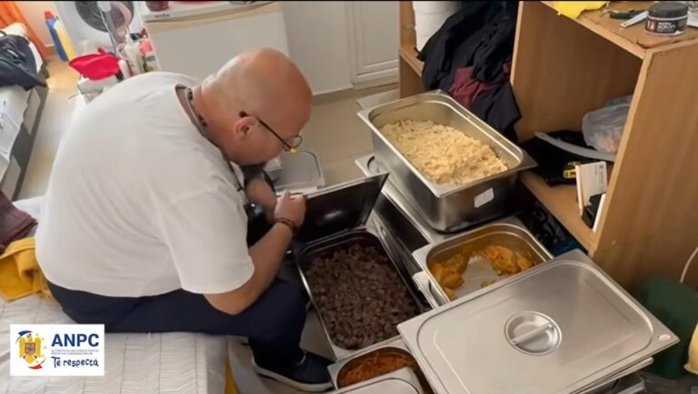 Controale ANPC în Costinești: Probleme grave la Terasa Ștefan