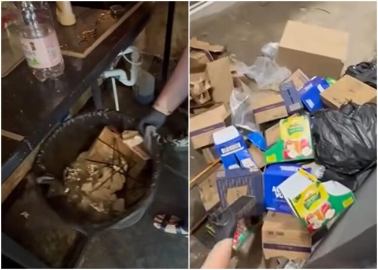 Controale riguroase pe litoral: ANPC-ul lui Piedone acționează în forță
