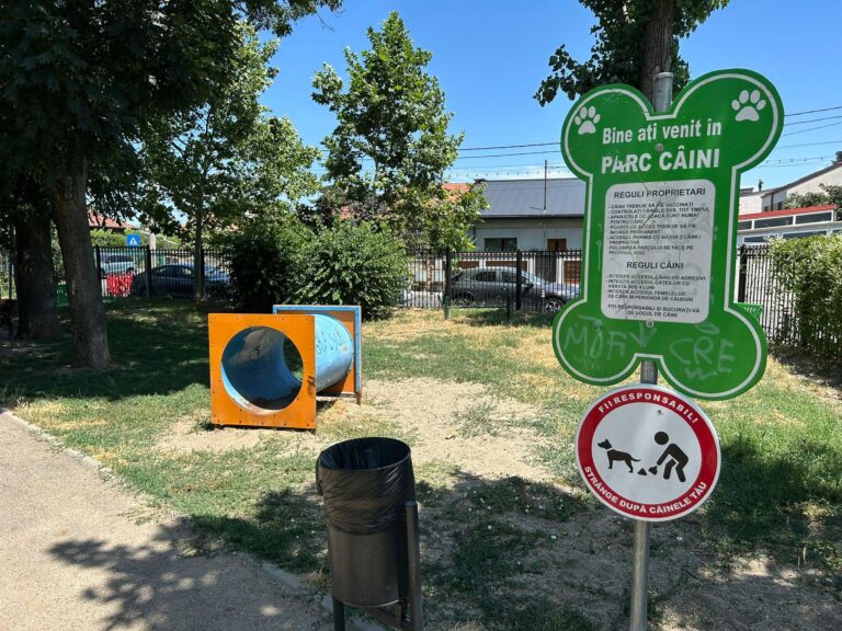 Curățenie zilnică în țarcurile pentru câini din Sectorul 2