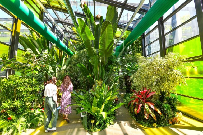 Descoperă serele exotice din Parcul Drumul Taberei: un refugiu de răcoare în zilele toride