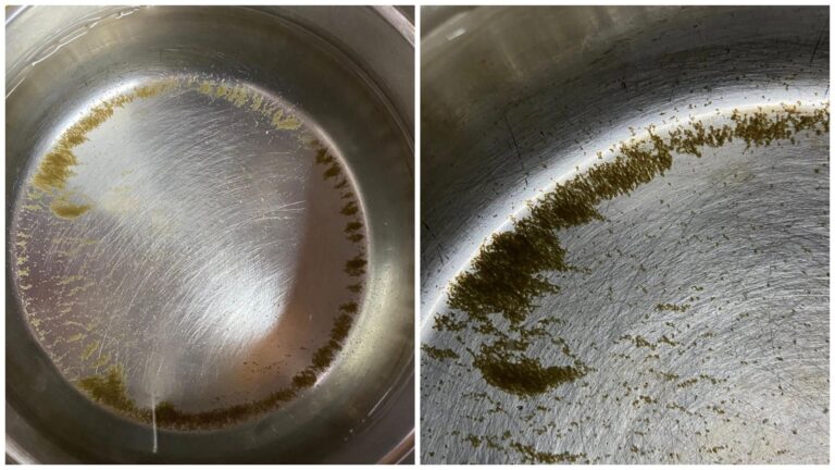 FOTO | Problema apei de la robinet în Cartierul Tineretului: O bucureșteancă semnalează o situație alarmantă