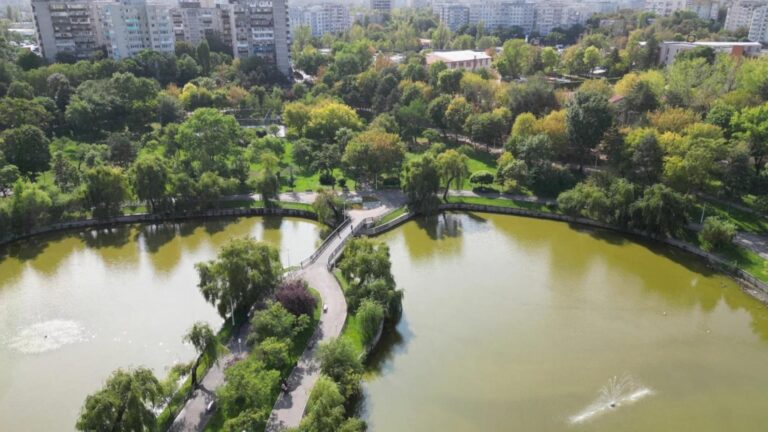 Festivalul Perifeeric aduce proiecții de film și concerte în Parcul Morarilor