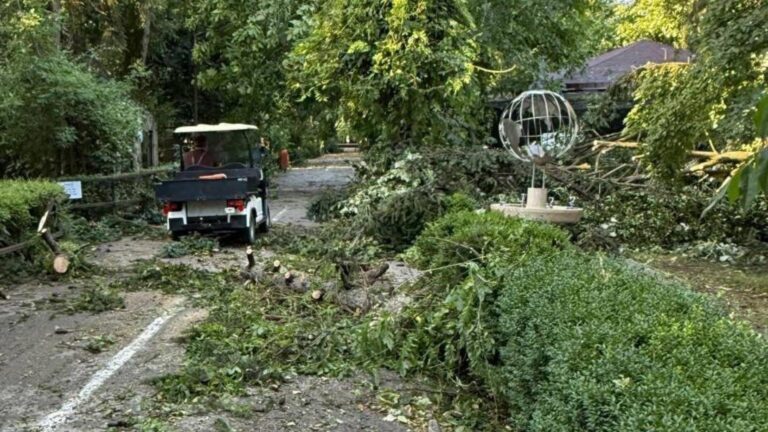 Grădina Zoologică din Capitală, închisă temporar din cauza furtunii