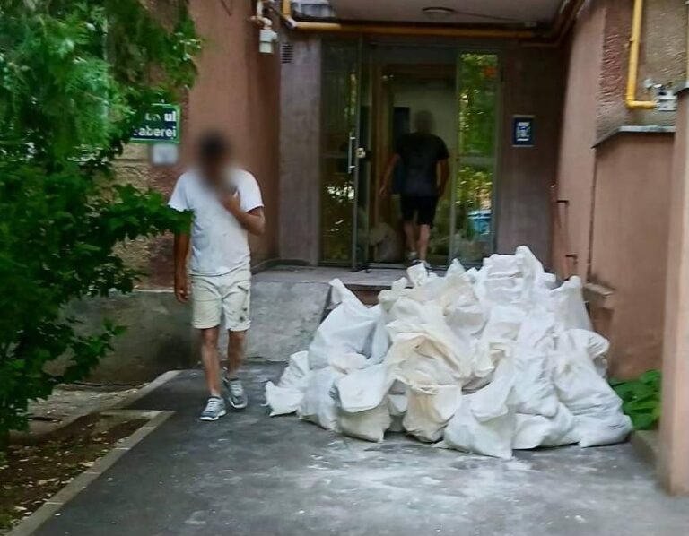 Impactul gunoiului aruncat pe străzile din București: costuri și resurse consumate