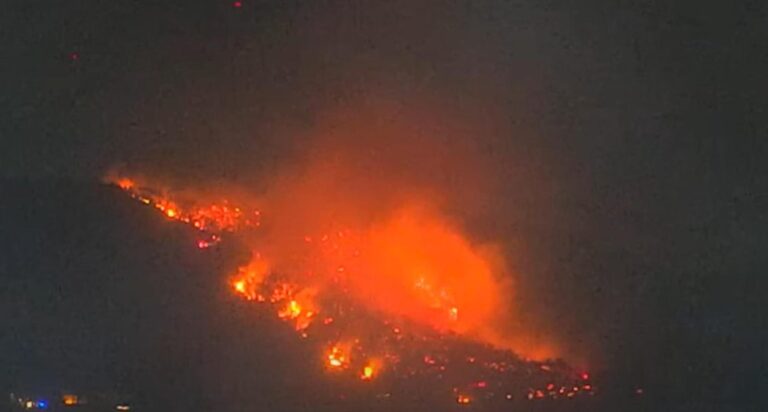 Incendiu devastator în Thassos, insula grecească preferată de români, cu intervenție aeriană abia la prima oră