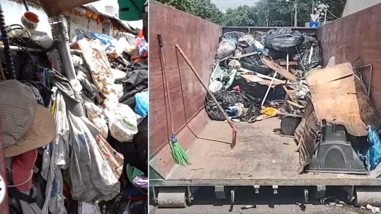 Intervenție urgentă în Sectorul 5: Curtea unui bărbat transformată în groapă de gunoi