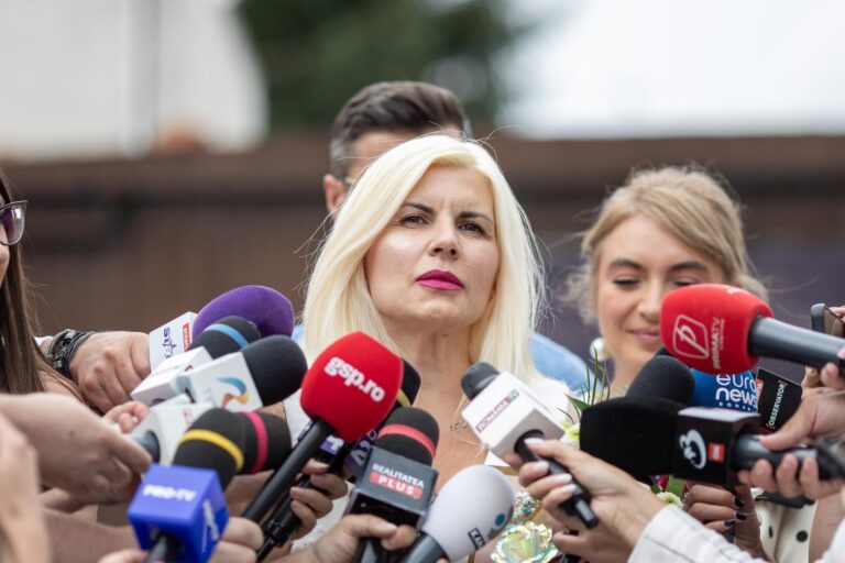 Licitație pentru terenuri deținute de Elena Udrea în București