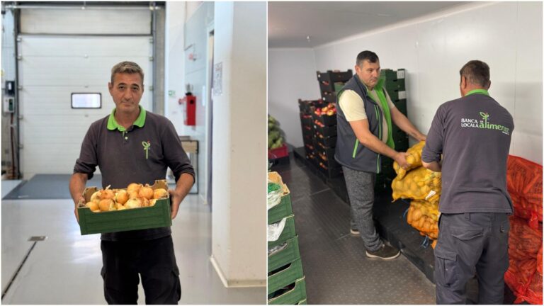 Mega donație pentru Banca de Alimente din Sectorul 6: 600 de kilograme de legume pentru cei vulnerabili