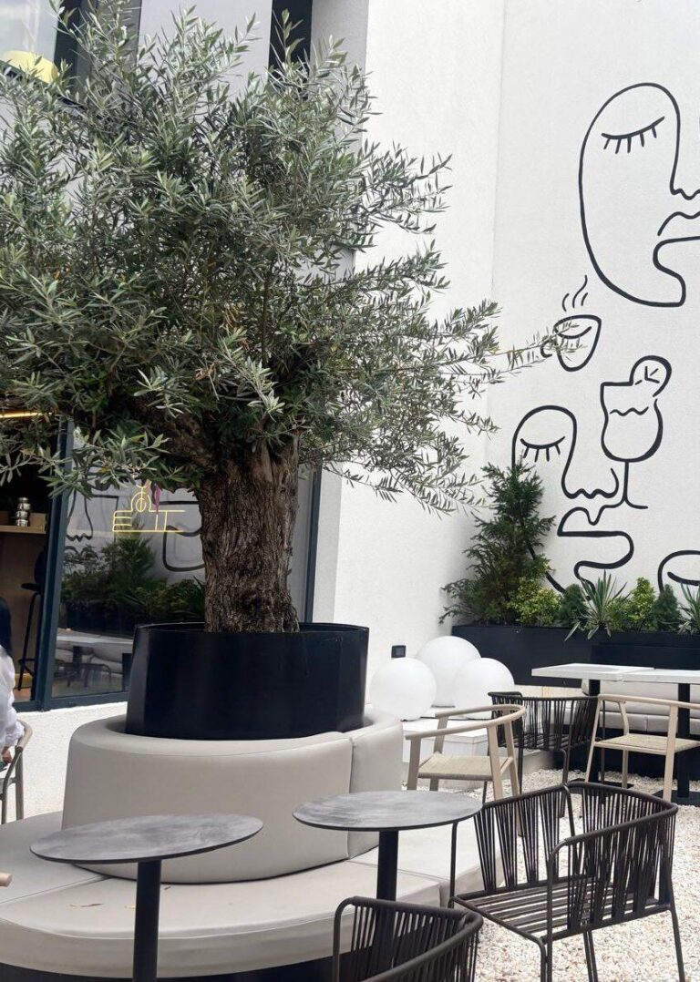 Oază de verdeață și cafea în inima Bucureștiului: Doda5