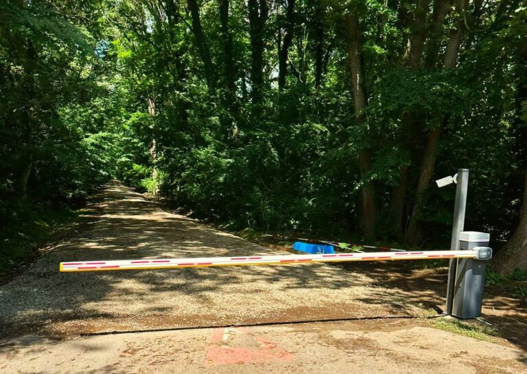 Pădurea Băneasa ar putea rămâne fără statut de arie protejată din cauza deschiderii unui drum forestier