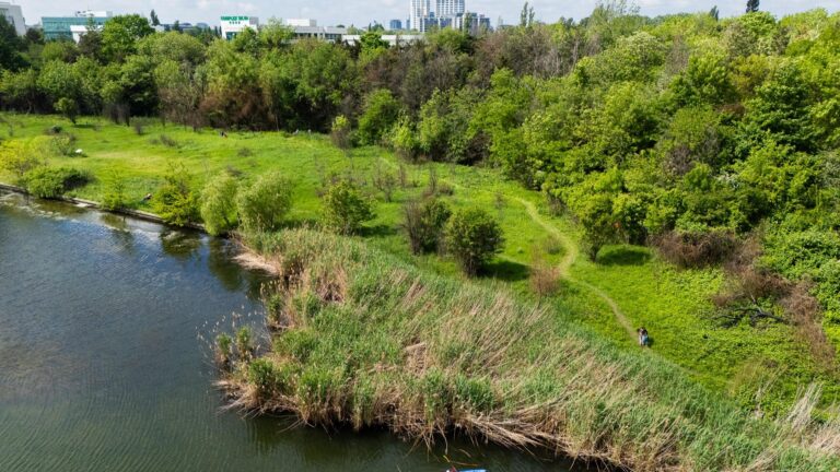 Pajiștea Petricani devine arie naturală protejată în București