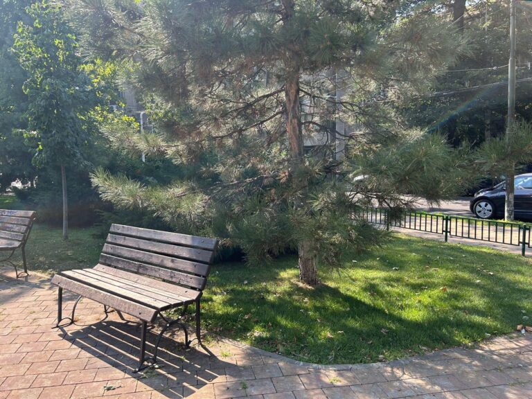 Primăria Sectorului 2 propune modificări pentru accesul pe spațiile verzi și creșterea amenzilor