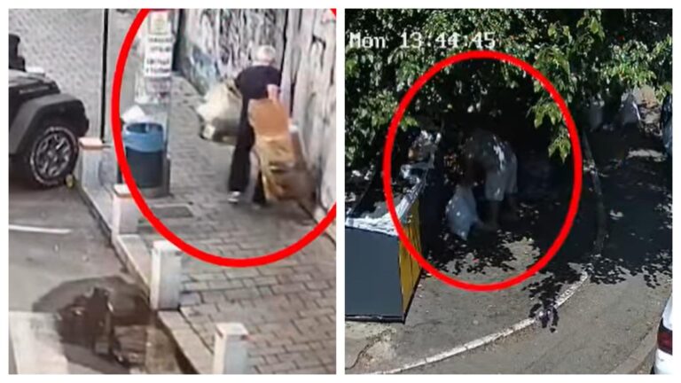 Primarul Sectorului 2 amenință cu sancțiuni severe pentru cei care aruncă gunoi pe străzi