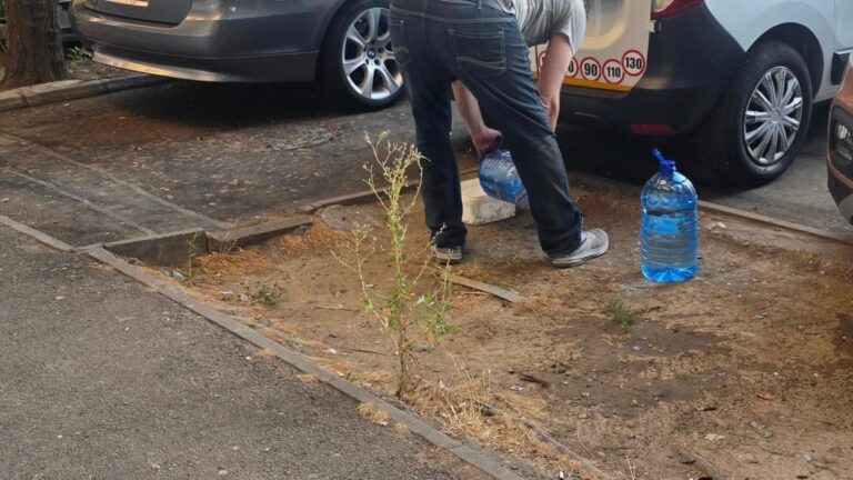 Probleme cauzate de hrănirea porumbeilor în Colentina