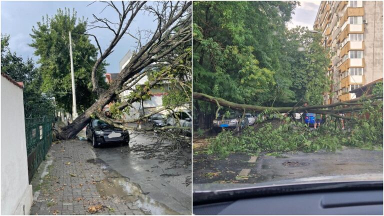 Străzi blocate în București din cauza copacilor căzuți după furtuni