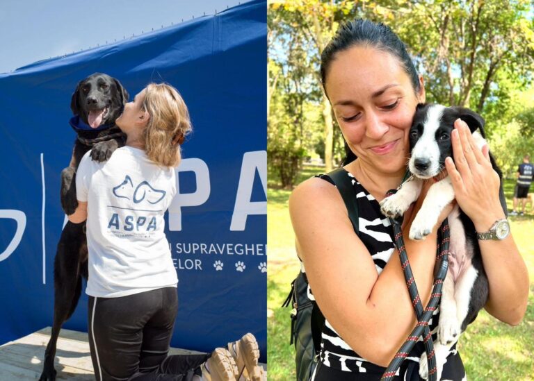 Târg de adopții de câini în Parcul Izvor, pe 19 iulie