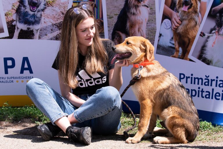 Târg de adopții la MINA: Căței și pisici în căutarea unei familii